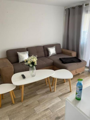 Jolie studio en plein centre de Cannes la Bocca